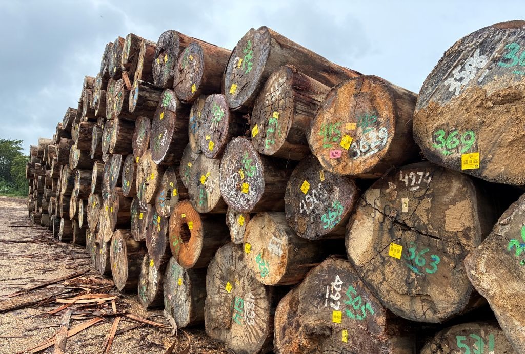 Partner Logs in Logpond